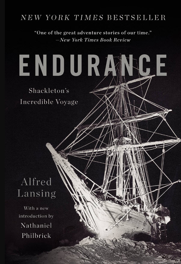 Endurance : Shackleton's Incredible Voyage
